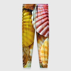 Брюки женские Разноцветные створки океанских раковин, цвет: 3D-принт