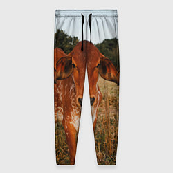 Женские брюки Коровка на поле