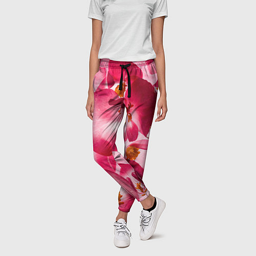 Женские брюки Цветы бегония текстура / 3D-принт – фото 3