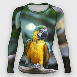 Рашгард женский Красавец попугай, цвет: 3D-принт