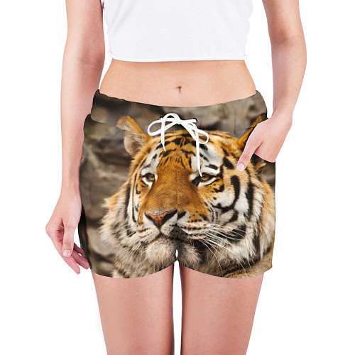 Женские шорты Мудрый тигр / 3D-принт – фото 3