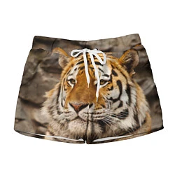 Женские шорты Мудрый тигр