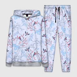 Женский 3D-костюм Снегири и зимние ветки, цвет: 3D-меланж