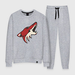Костюм хлопковый женский Phoenix Coyotes, цвет: меланж