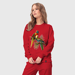 Костюм хлопковый женский Тропические попугаи, цвет: красный — фото 2