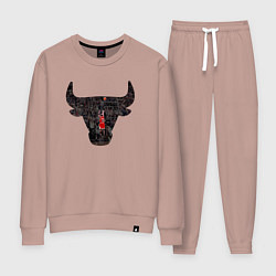 Женский костюм Bulls - Jordan