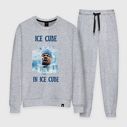 Женский костюм Ice Cube in ice cube