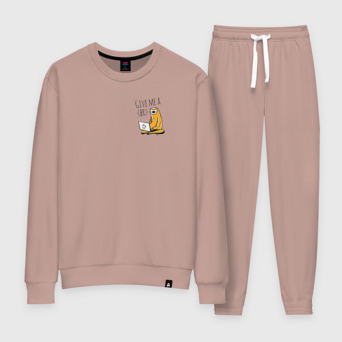 Женский костюм Ленивиц за ноутом / Пыльно-розовый – фото 1