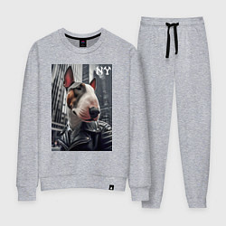 Женский костюм Dude bull terrier in New York - ai art