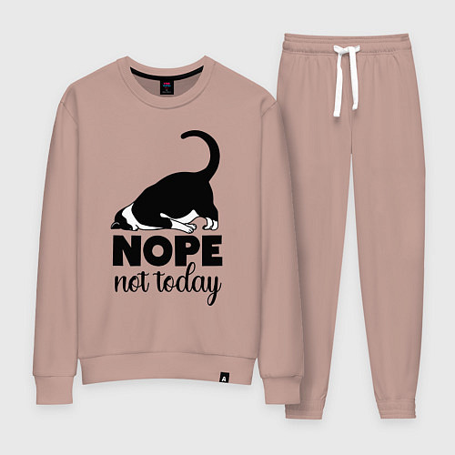 Женский костюм Nope - not today / Пыльно-розовый – фото 1