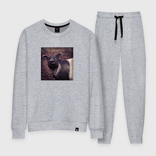 Женский костюм Pigshot / Меланж – фото 1