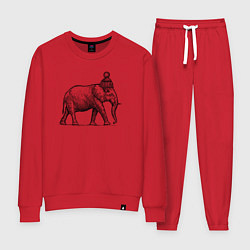 Костюм хлопковый женский Слон замерз, цвет: красный