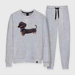 Костюм хлопковый женский Мультяшная собака такса, цвет: меланж