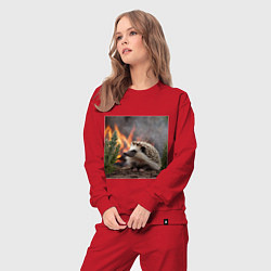 Костюм хлопковый женский Ёжик в огне, цвет: красный — фото 2