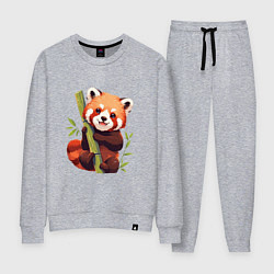 Костюм хлопковый женский The Red Panda, цвет: меланж