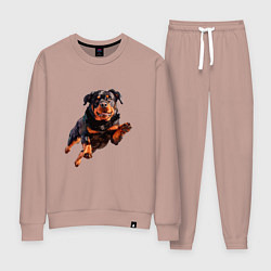 Костюм хлопковый женский Hunter Dog - Ротвейлер ГТА в прыжке, цвет: пыльно-розовый