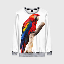 Свитшот женский Яркий попугай, цвет: 3D-меланж