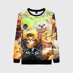 Свитшот женский КОТЫ, цвет: 3D-черный