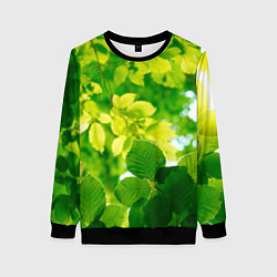 Свитшот женский Листья, цвет: 3D-черный