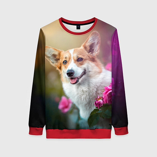 Женский свитшот Корги в розовом кусте / 3D-Красный – фото 1