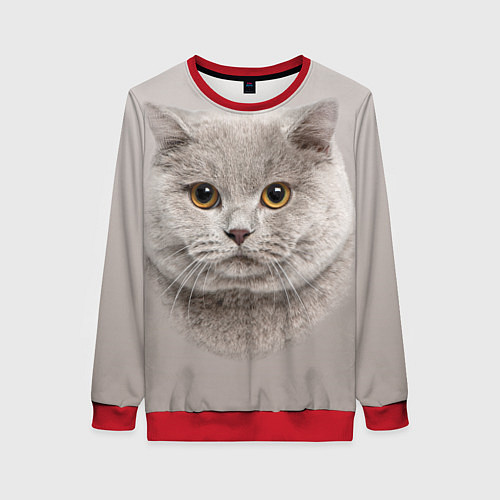 Женский свитшот Милая британка / 3D-Красный – фото 1