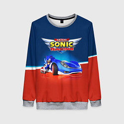 Свитшот женский Team Sonic Racing - Ёжик и его точило, цвет: 3D-меланж