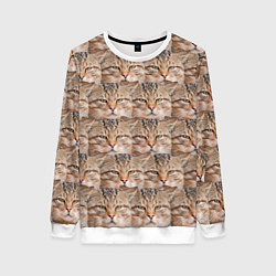 Женский свитшот Кот - Гипнокот