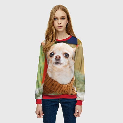 Женский свитшот Праздничный чихуахуа / 3D-Красный – фото 3