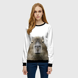 Свитшот женский Капибара пофигист, цвет: 3D-черный — фото 2