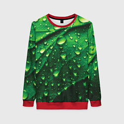 Женский свитшот Утренняя роса