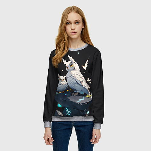 Женский свитшот Филины и магия / 3D-Меланж – фото 3