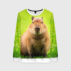 Свитшот женский Capybara on green grass, цвет: 3D-белый