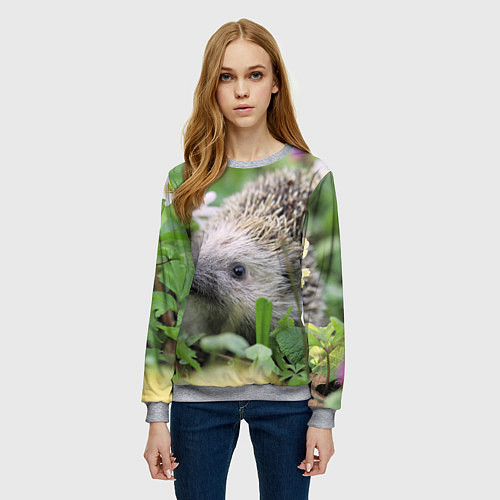 Женский свитшот Лесной ёжик в траве / 3D-Меланж – фото 3