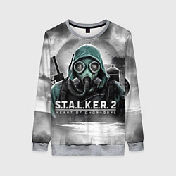 Свитшот женский Stalker 2 heart of Chornobyl radiation, цвет: 3D-меланж