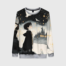 Свитшот женский Гарри Поттер и совы, цвет: 3D-меланж