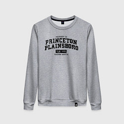 Свитшот хлопковый женский Princeton Plainsboro, цвет: меланж