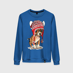 Свитшот хлопковый женский Чихуахуа в шапочке, цвет: синий