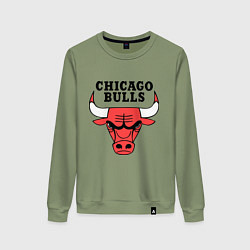 Свитшот хлопковый женский Chicago Bulls, цвет: авокадо