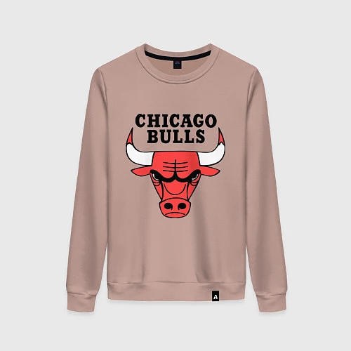 Женский свитшот Chicago Bulls / Пыльно-розовый – фото 1