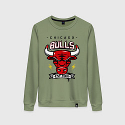 Свитшот хлопковый женский Chicago Bulls est. 1966, цвет: авокадо