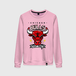 Свитшот хлопковый женский Chicago Bulls est. 1966, цвет: светло-розовый