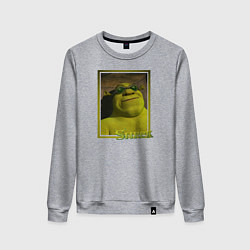 Свитшот хлопковый женский Шрек в очках, цвет: меланж