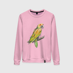 Свитшот хлопковый женский Любимый попугай, цвет: светло-розовый