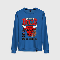 Женский свитшот Chicago Bulls NBA