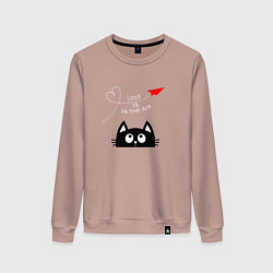 Свитшот хлопковый женский Котик Самолётик, цвет: пыльно-розовый