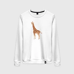 Свитшот хлопковый женский Любопытный жираф, цвет: белый