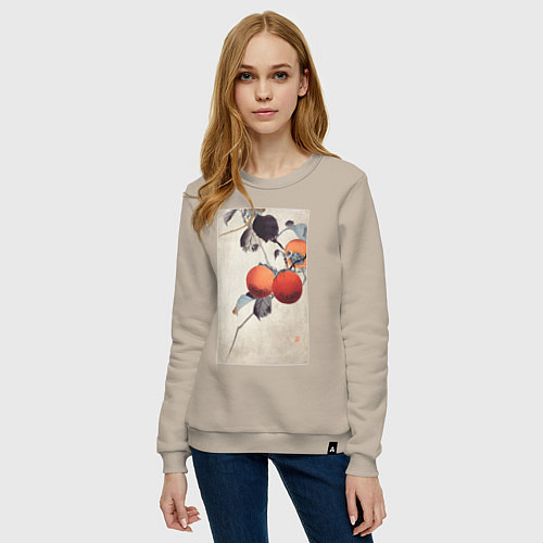 Женский свитшот Nuthatcher atop Persimmons / Миндальный – фото 3