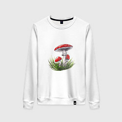 Женский свитшот Мухоморы в траве