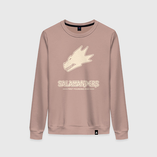 Женский свитшот Саламандры лого винтаж / Пыльно-розовый – фото 1