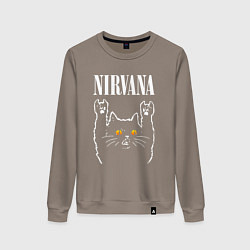 Женский свитшот Nirvana rock cat